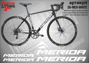 Merida White
